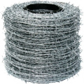 China Leading Factory Supply Galvanized Barbed Wire Mesh